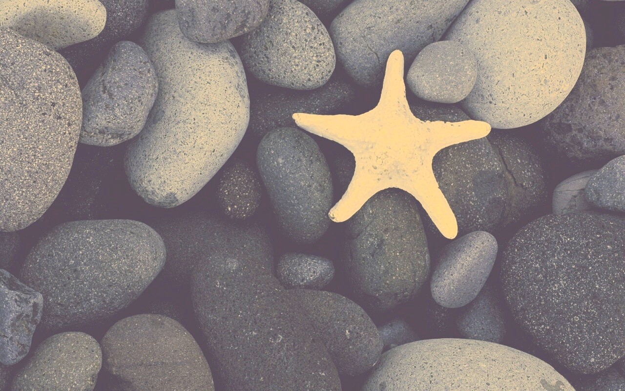 Звезда на морской гальке обои
