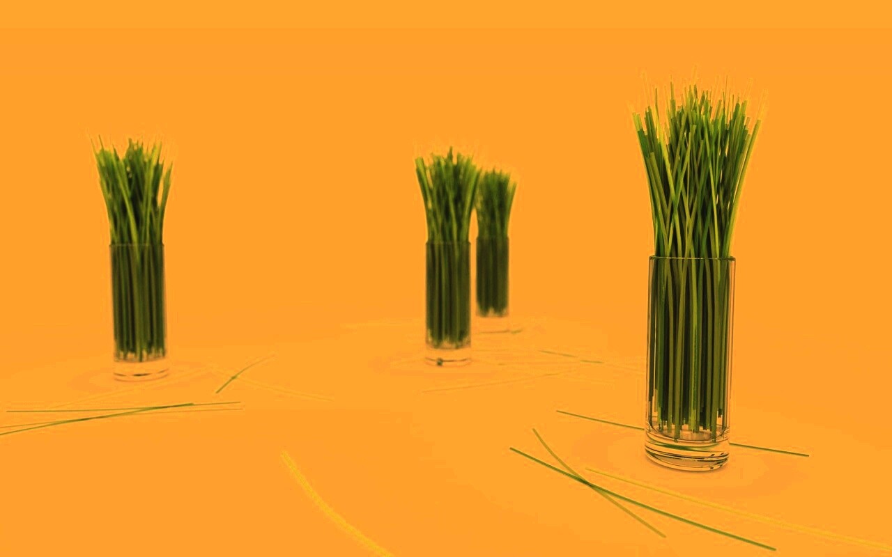 Трава в стакане обои