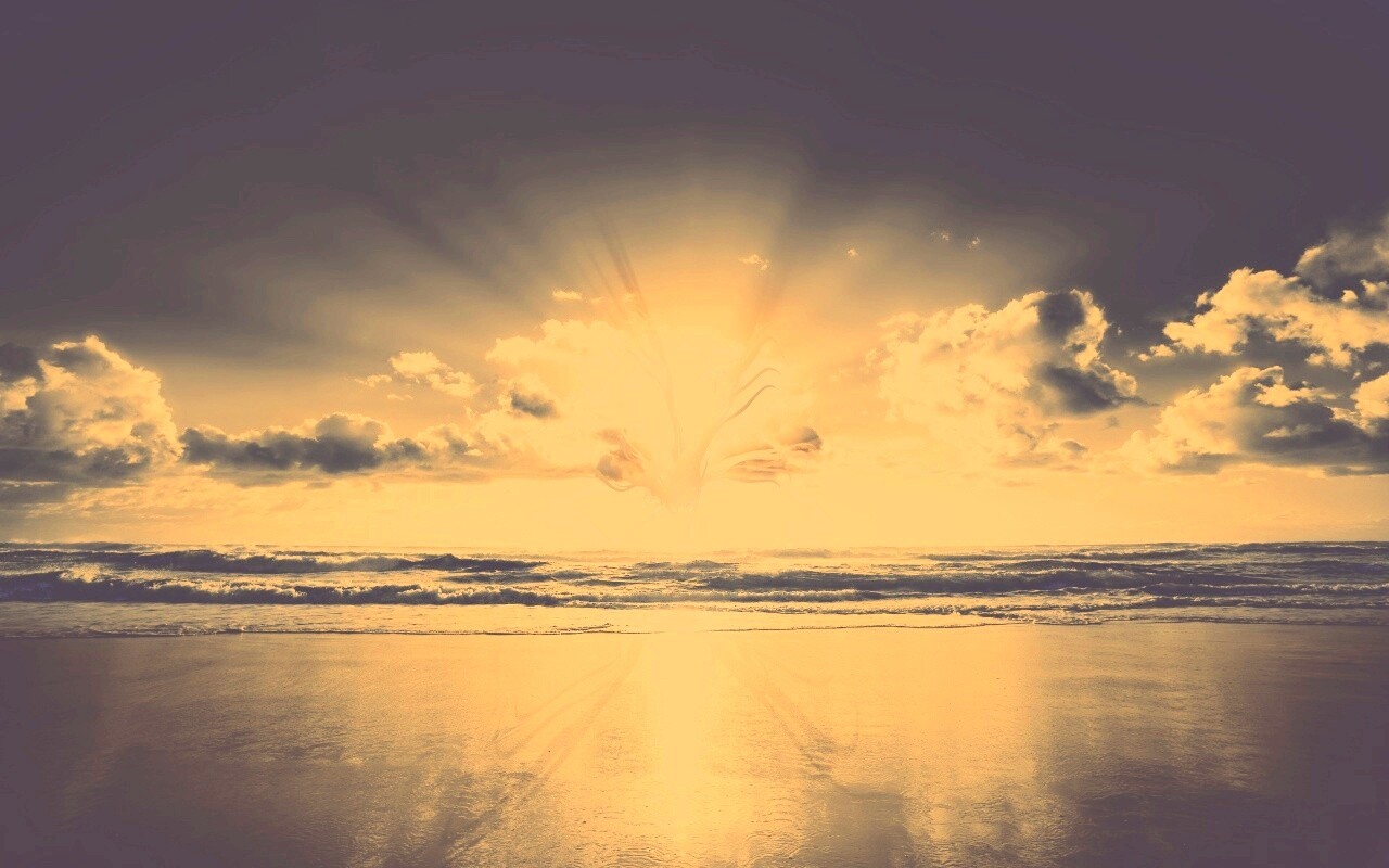 Абстрактные перья на фоне заката обои