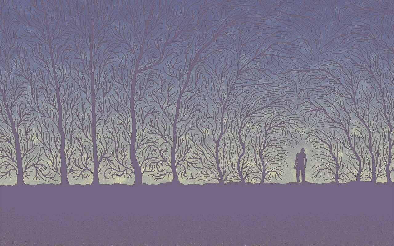 Смыкающиеся деревья обои