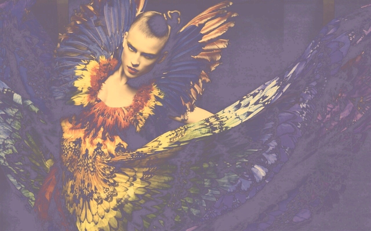 Костюм жар птицы обои