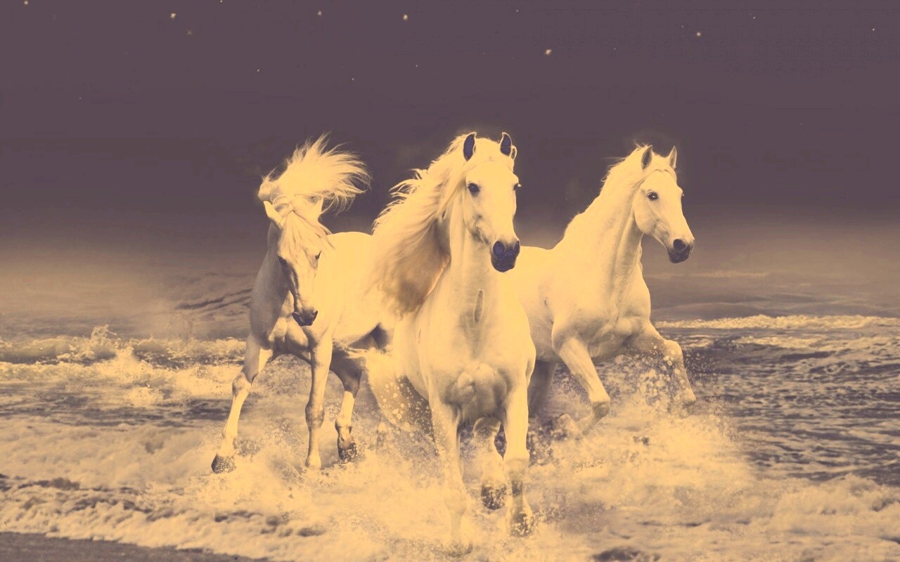 Тройка конец в море обои