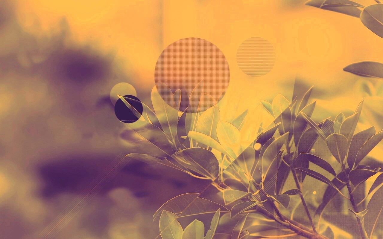 Синий фильтр с кргуами на фото листьев обои