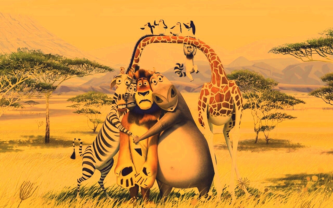 Герои мультфильма Мадагаскар обои