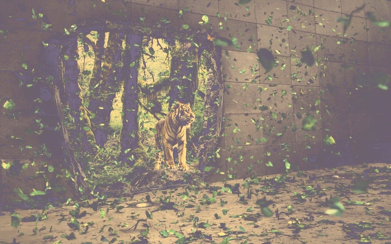 Портал в джунги обои