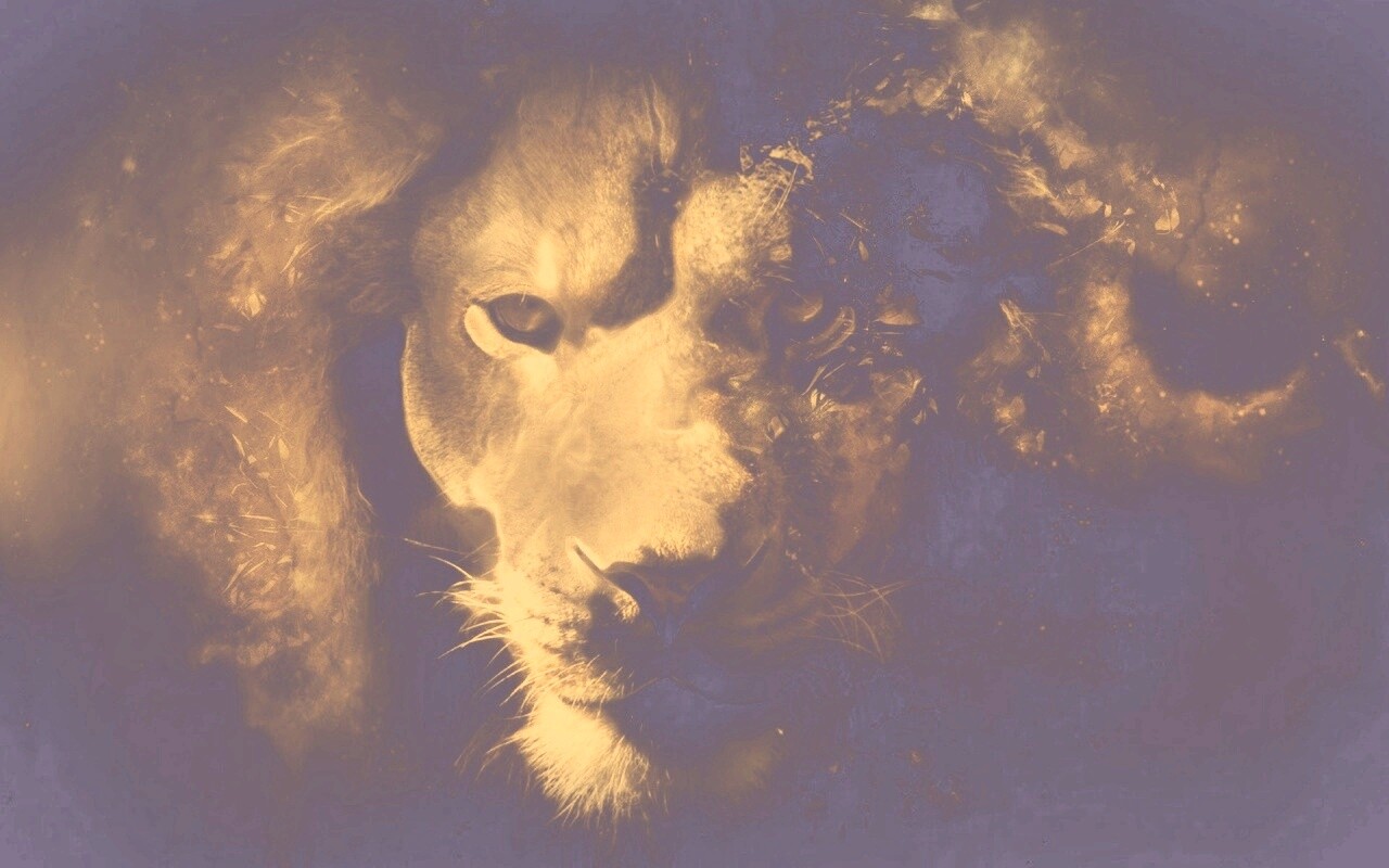 Фас льва обои