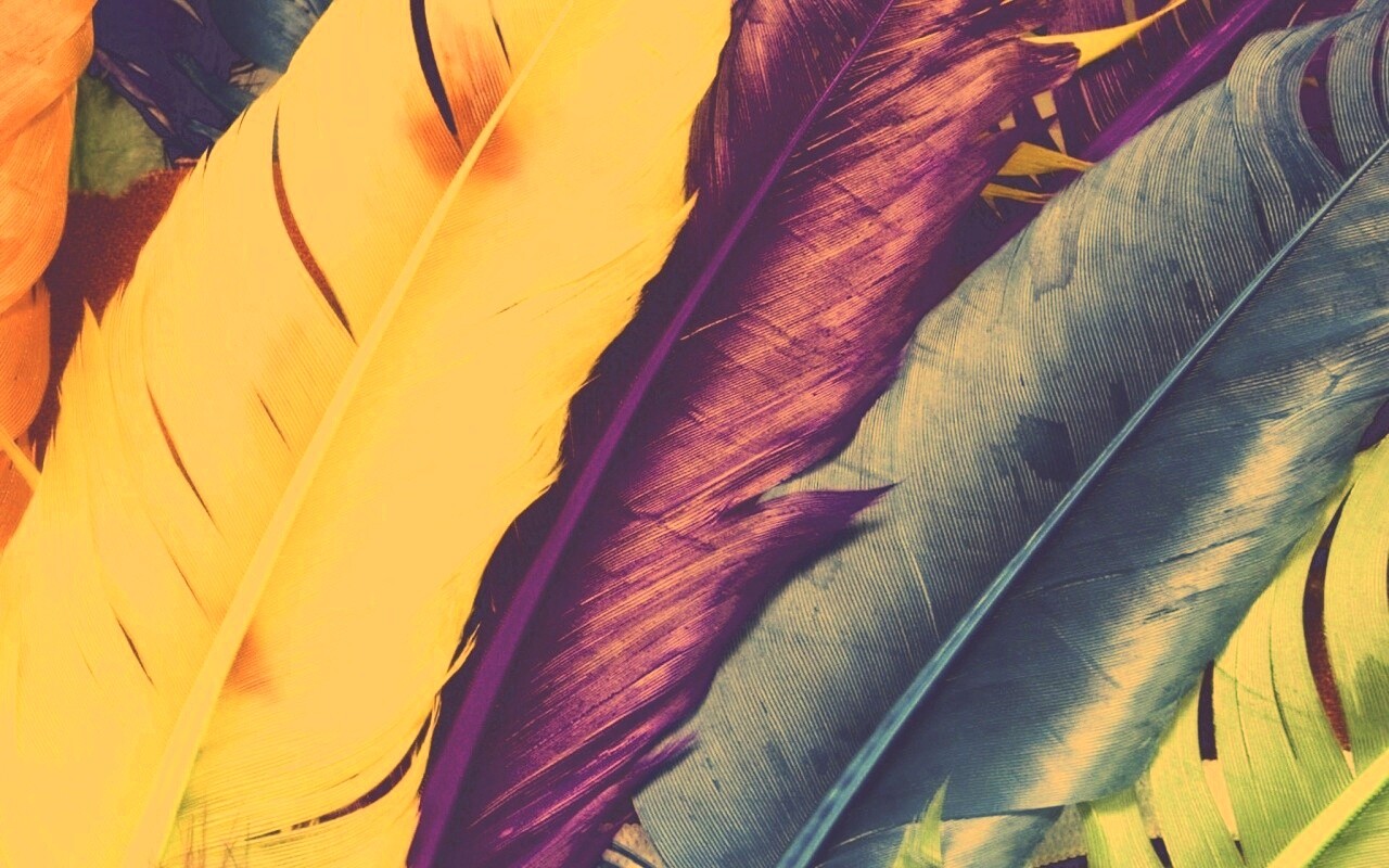 Разноцветные перья обои