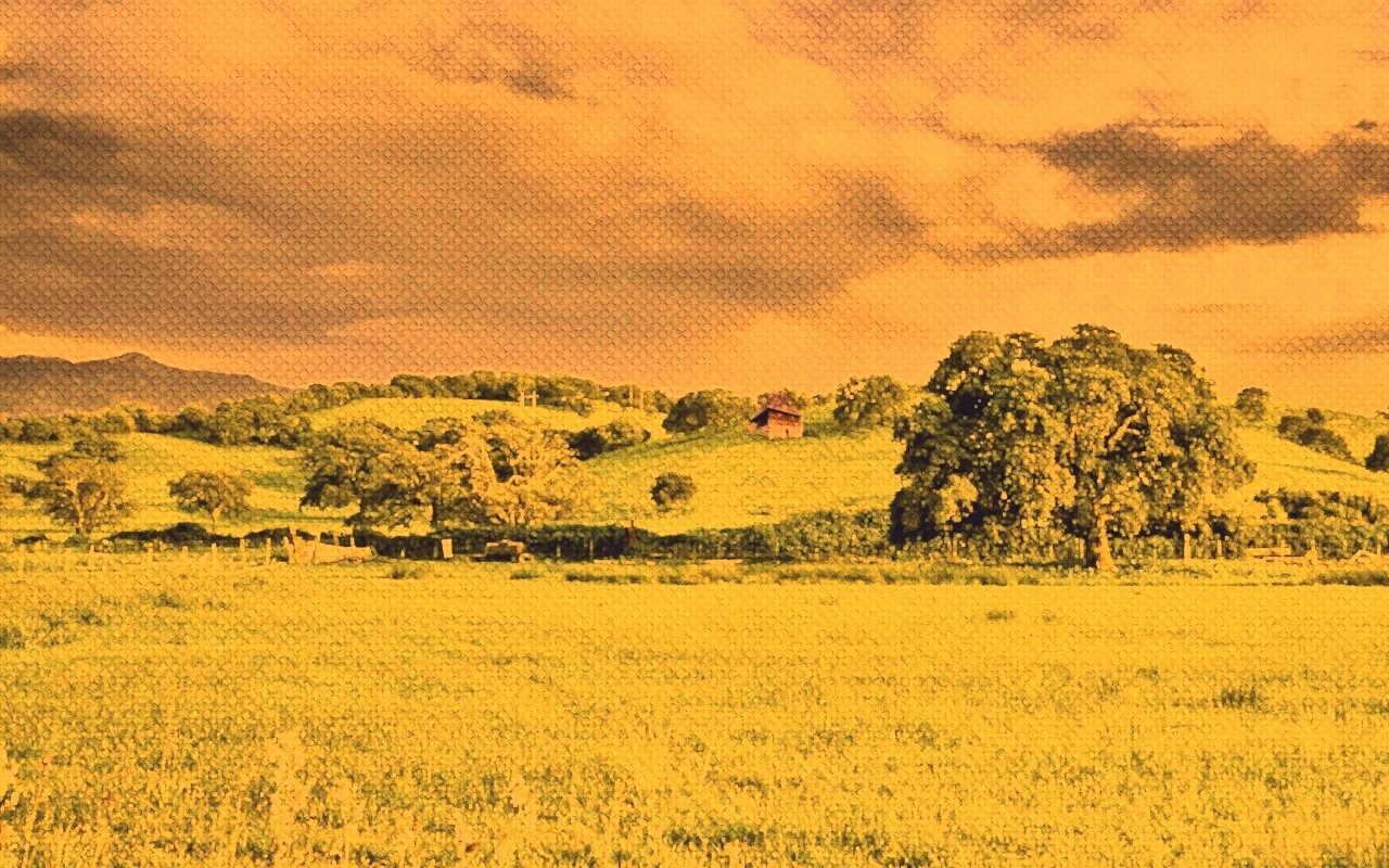 Домик на холмах обои