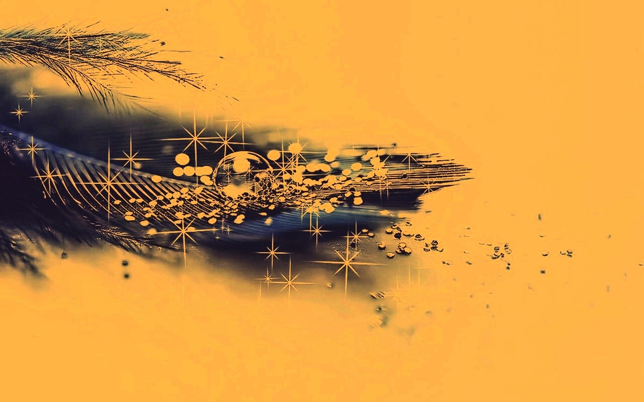 Волшебное перо обои