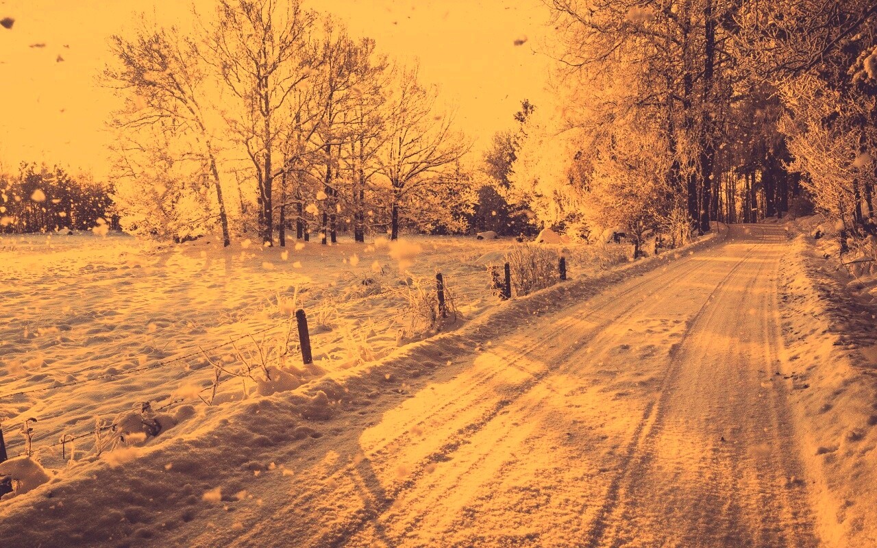 Снежная дорога залитая солнцем обои