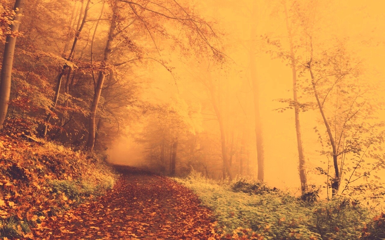 Осенний мистический пейзаж обои