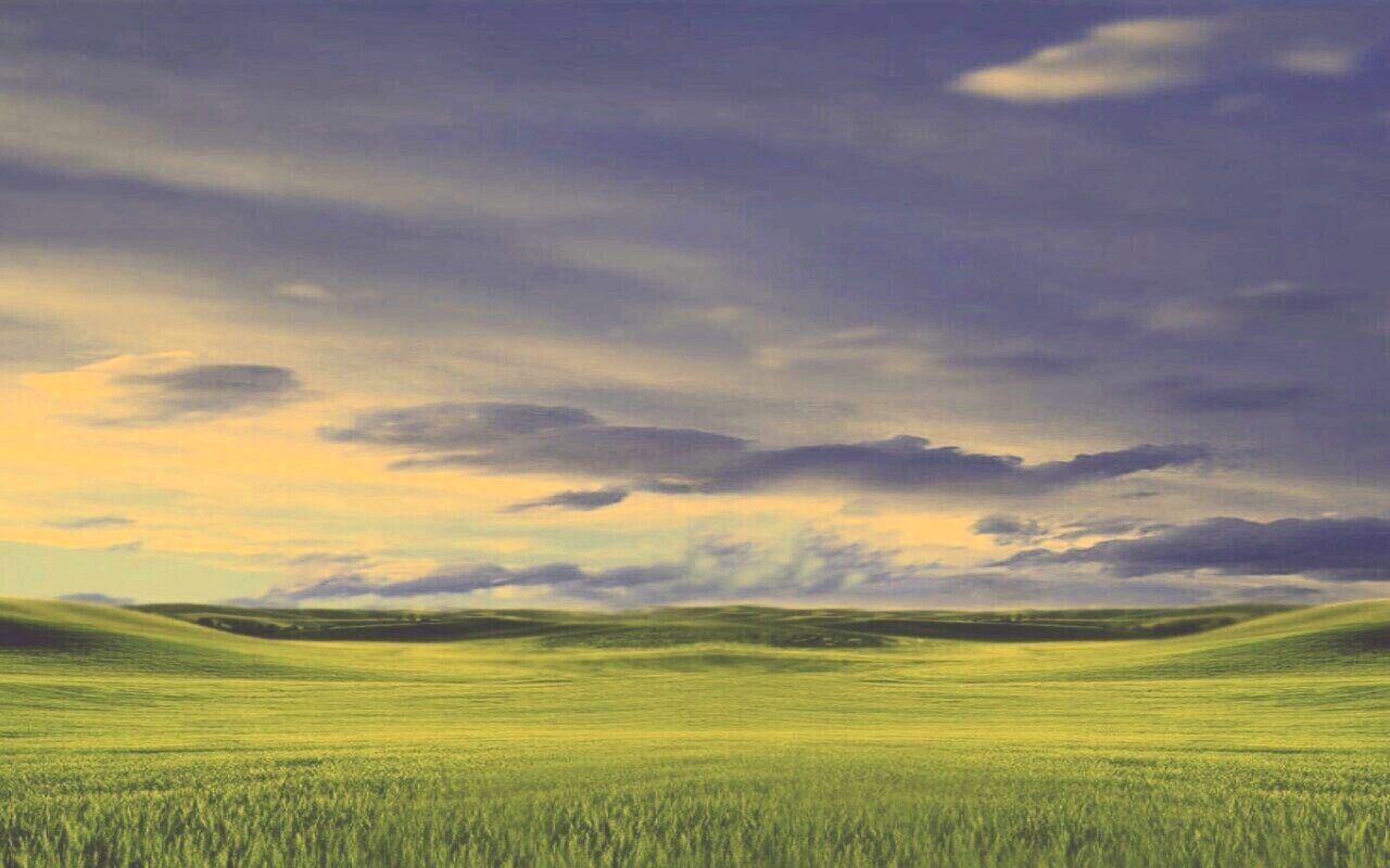 Зеленый луг обои