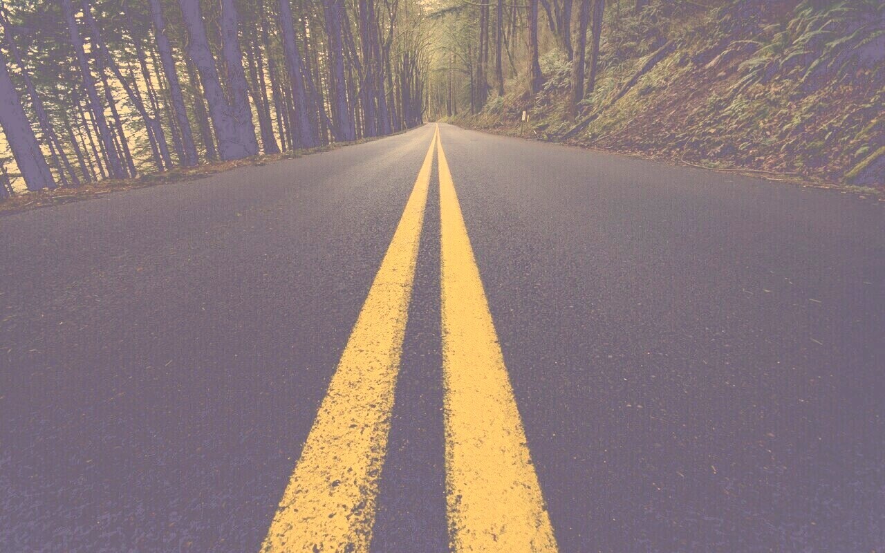 Дорога в лесу обои