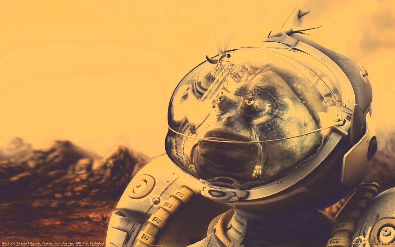 Инопланетянин и стрекоза обои