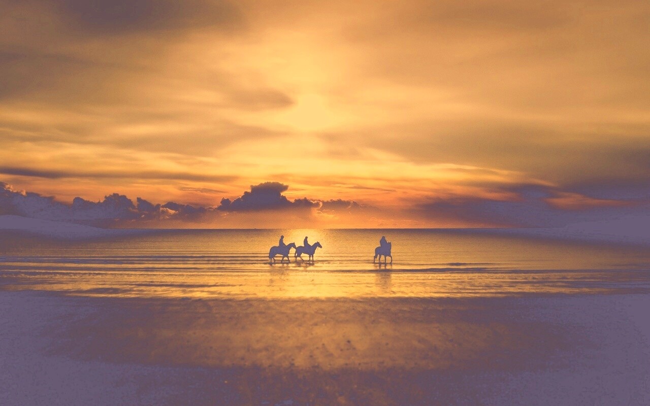 Наездники на закате обои