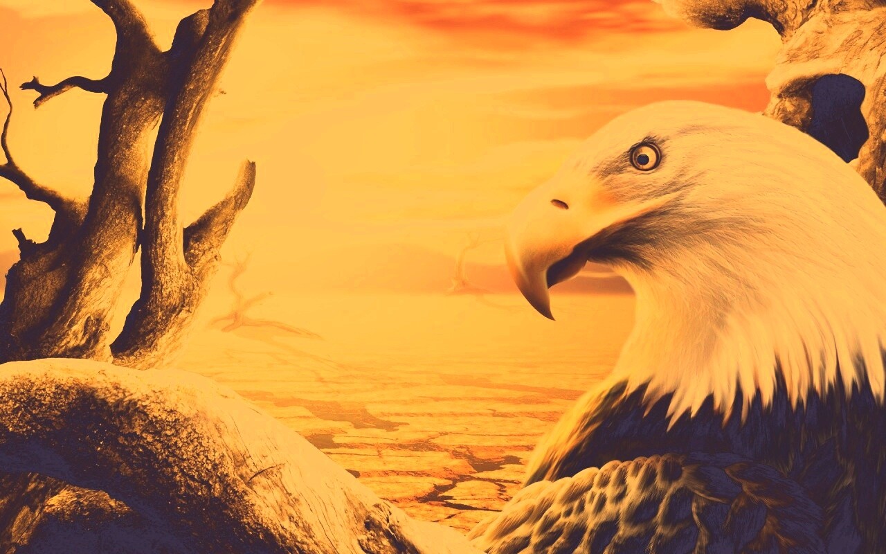 Нарисованный орел обои