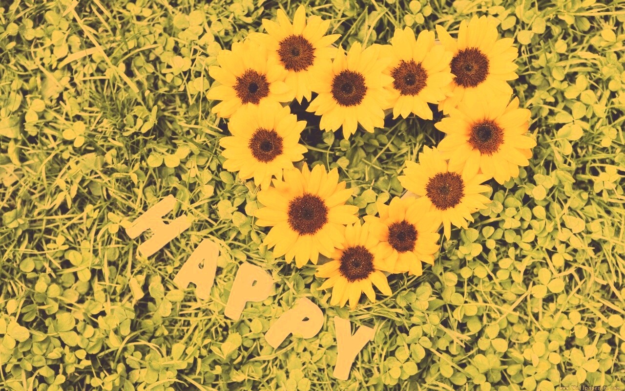 Радость обои