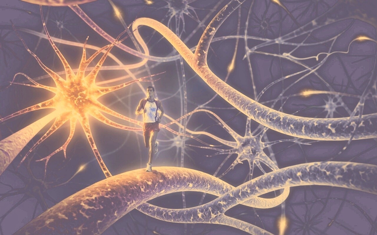 Бег мыслей обои