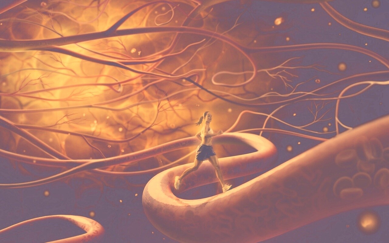 Бег крови обои