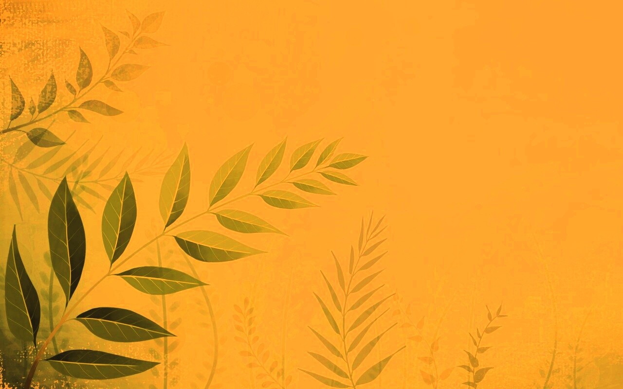 Веточка молодых листьев обои