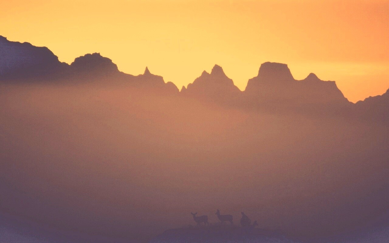 Вечер в национальном парке обои