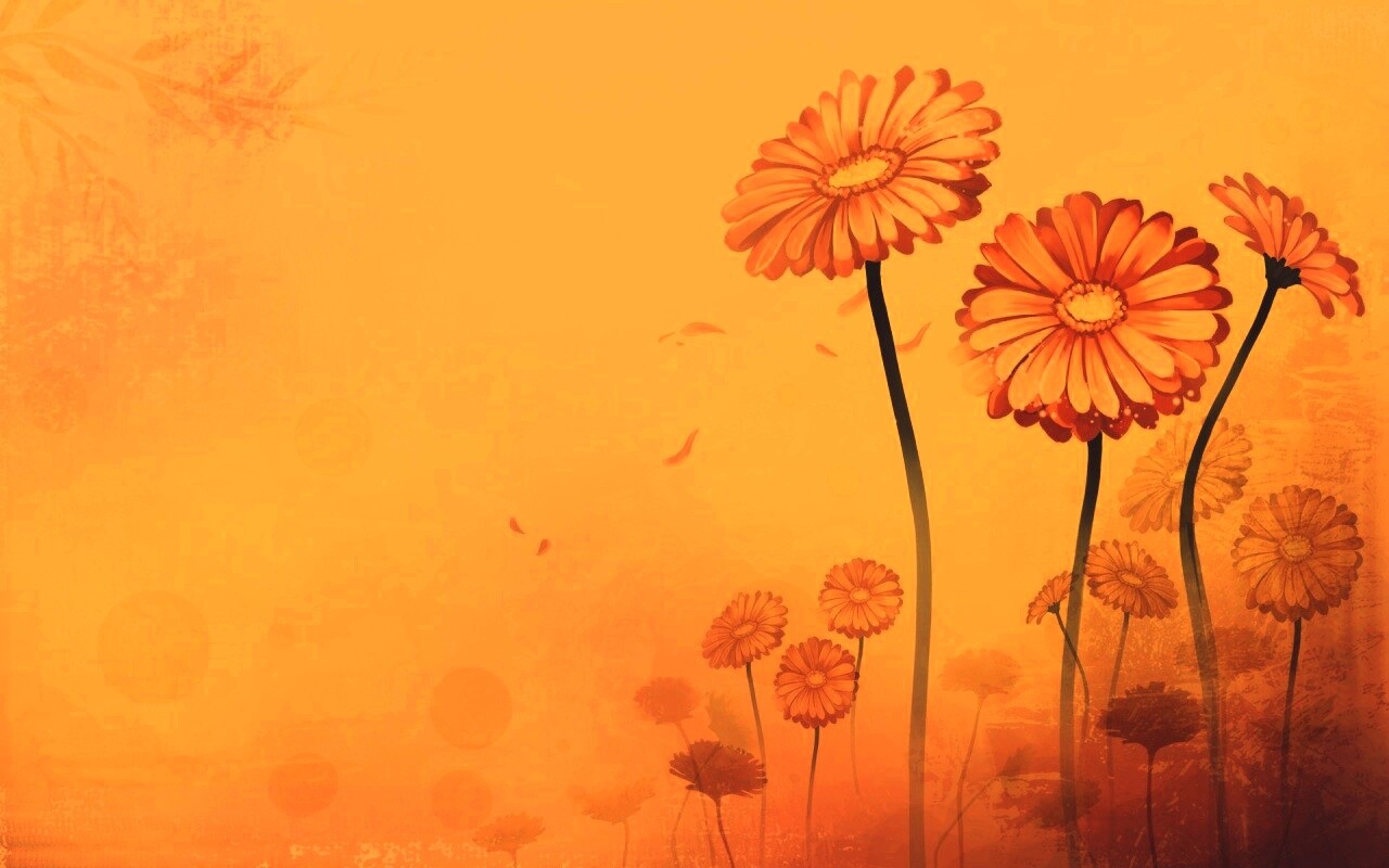 Векторные ромашки обои