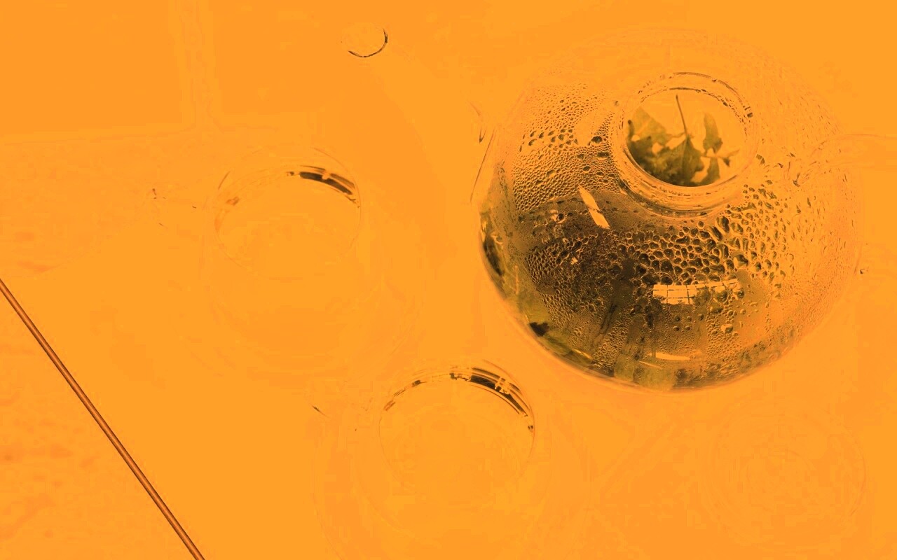 Зеленый чай обои