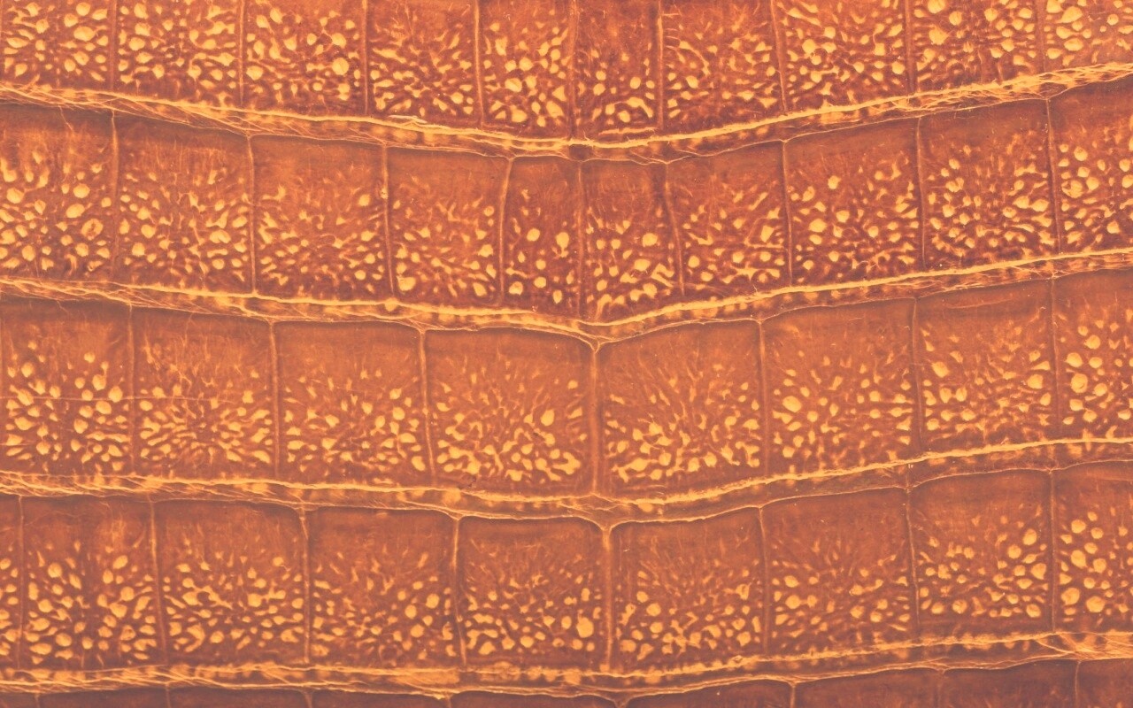 Текстура крокодильей кожи обои