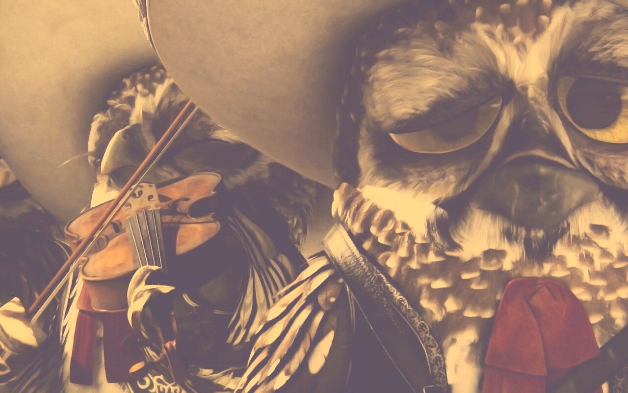 Совы-мариачи из Ранго обои