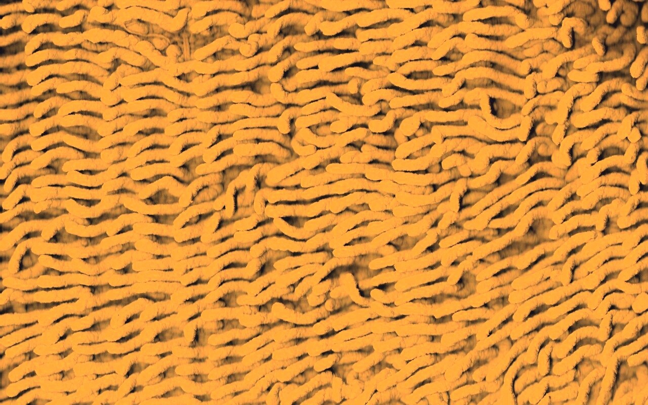 Ковер вблизи обои