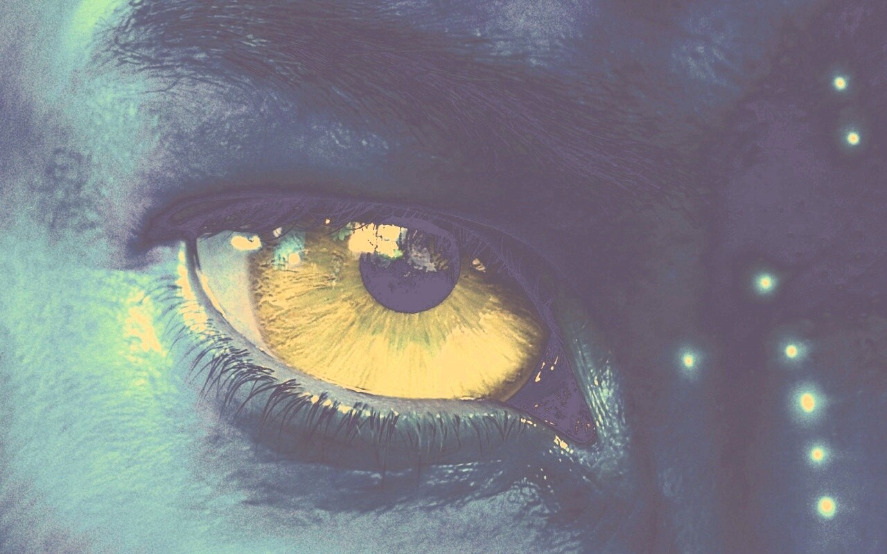 Смотрит прямо в душу обои