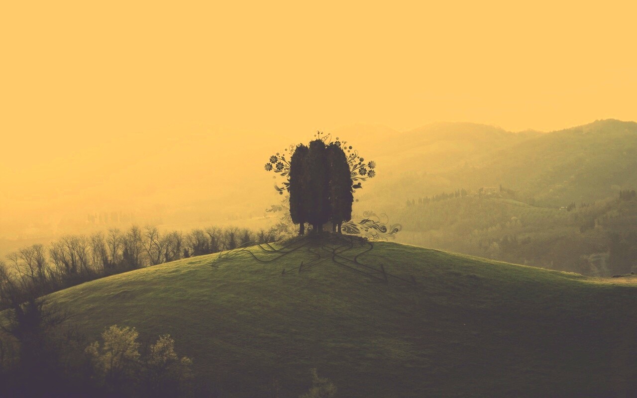 Деревья на холме обои