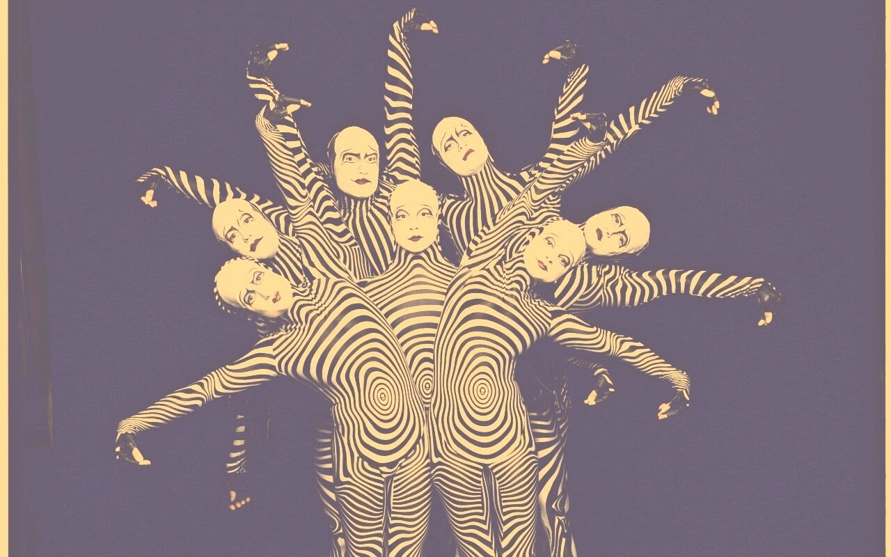 Зеброиды (актеры цирка дю солей) обои