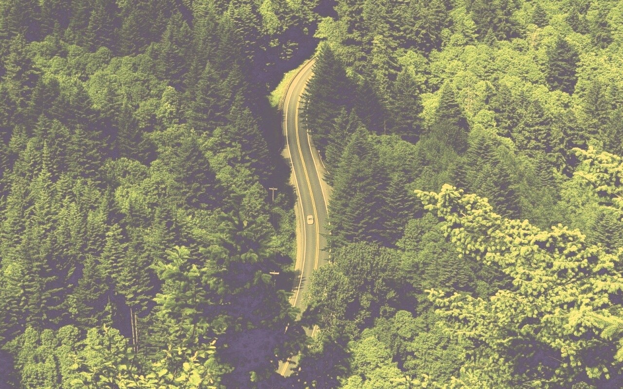 Лесная трасса обои