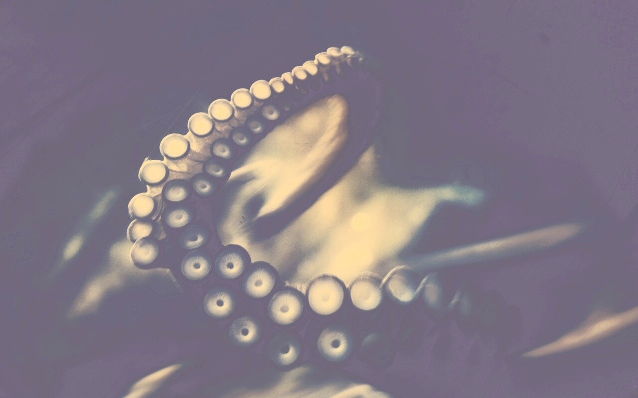 Щупальце обои