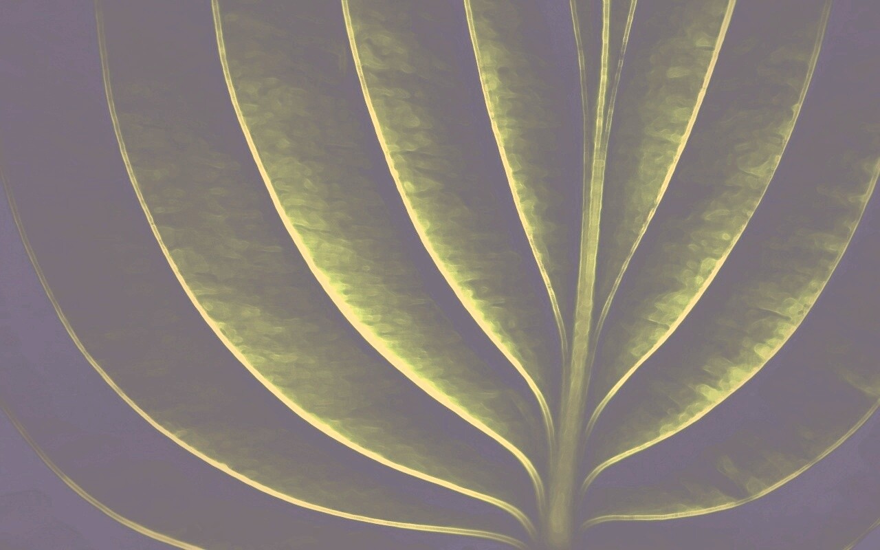 Неоновый лист обои