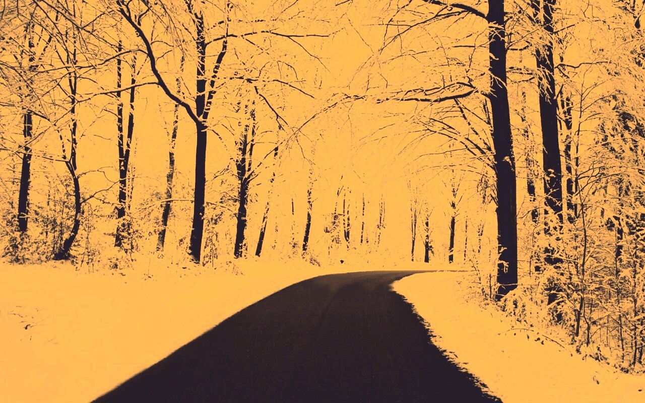 Дорога в зимнем лесу обои