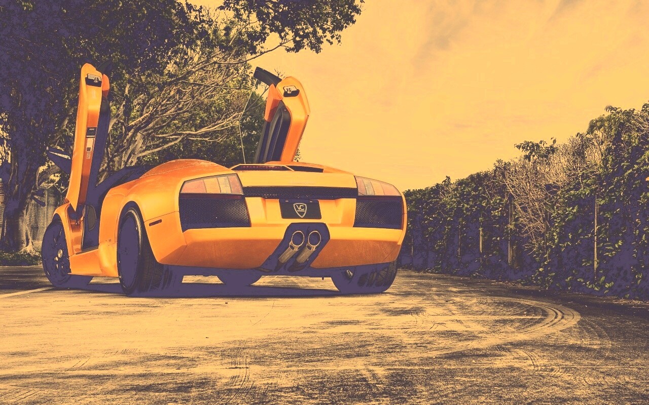 Оранжевая Мюрселаго обои