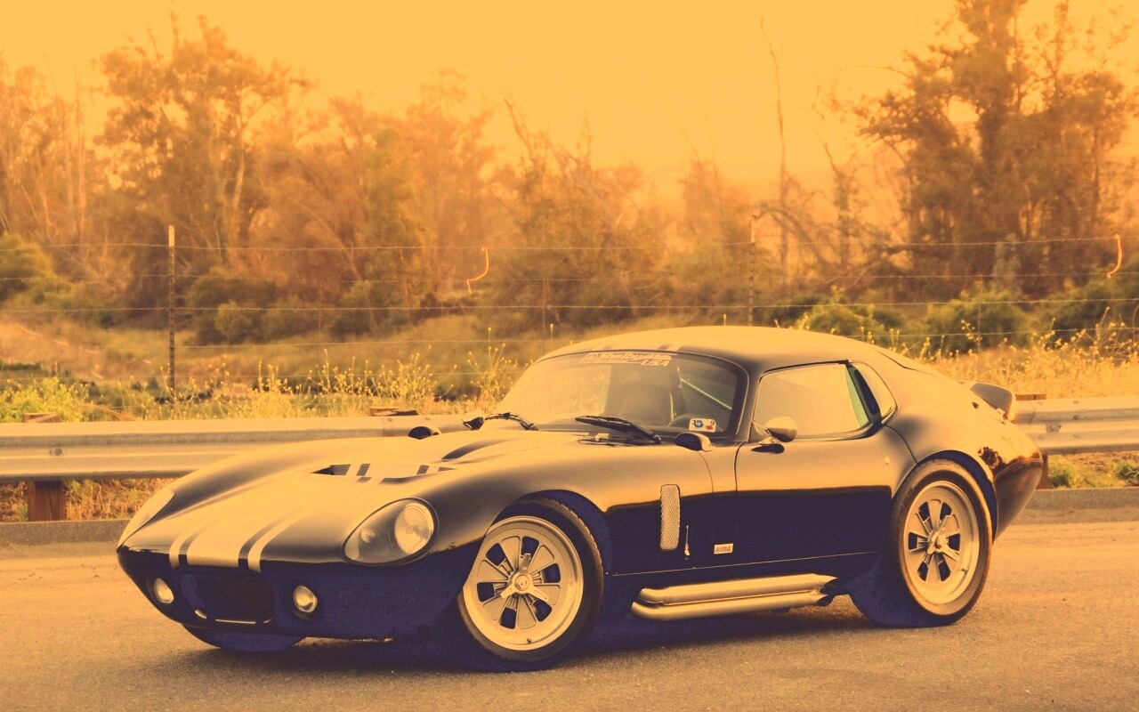 Shelby Daytona обои