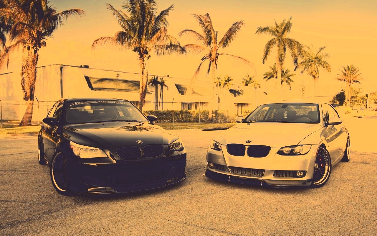 Две БМВ обои