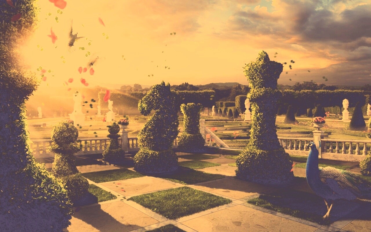 Шахматный сад обои