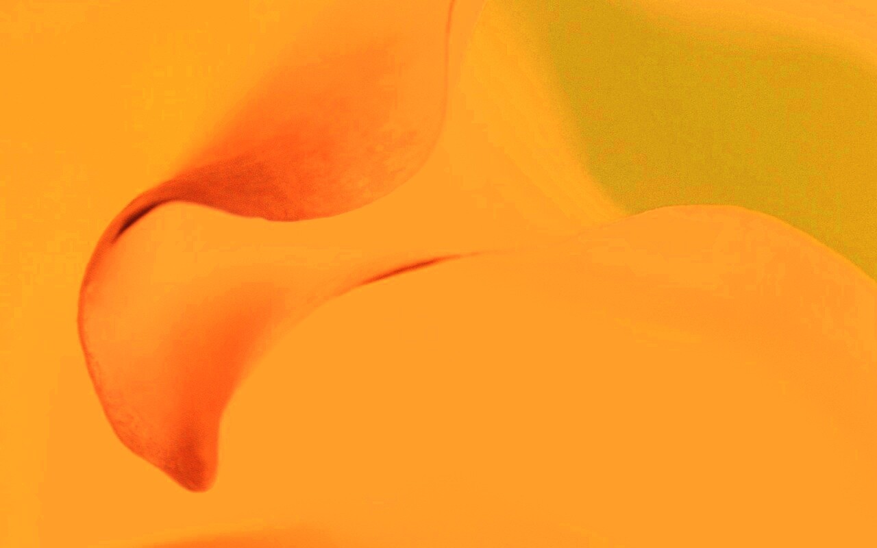 Оттенки природы обои