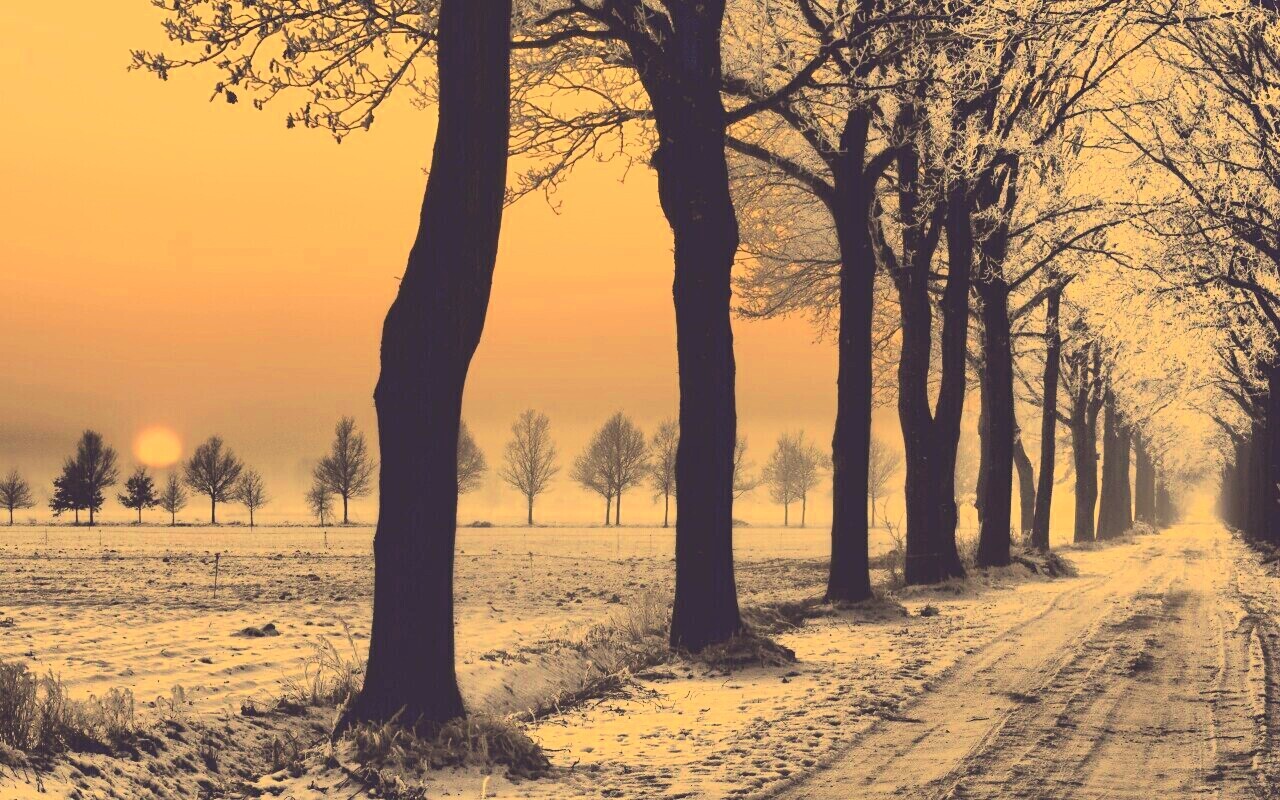 Морозное утро обои