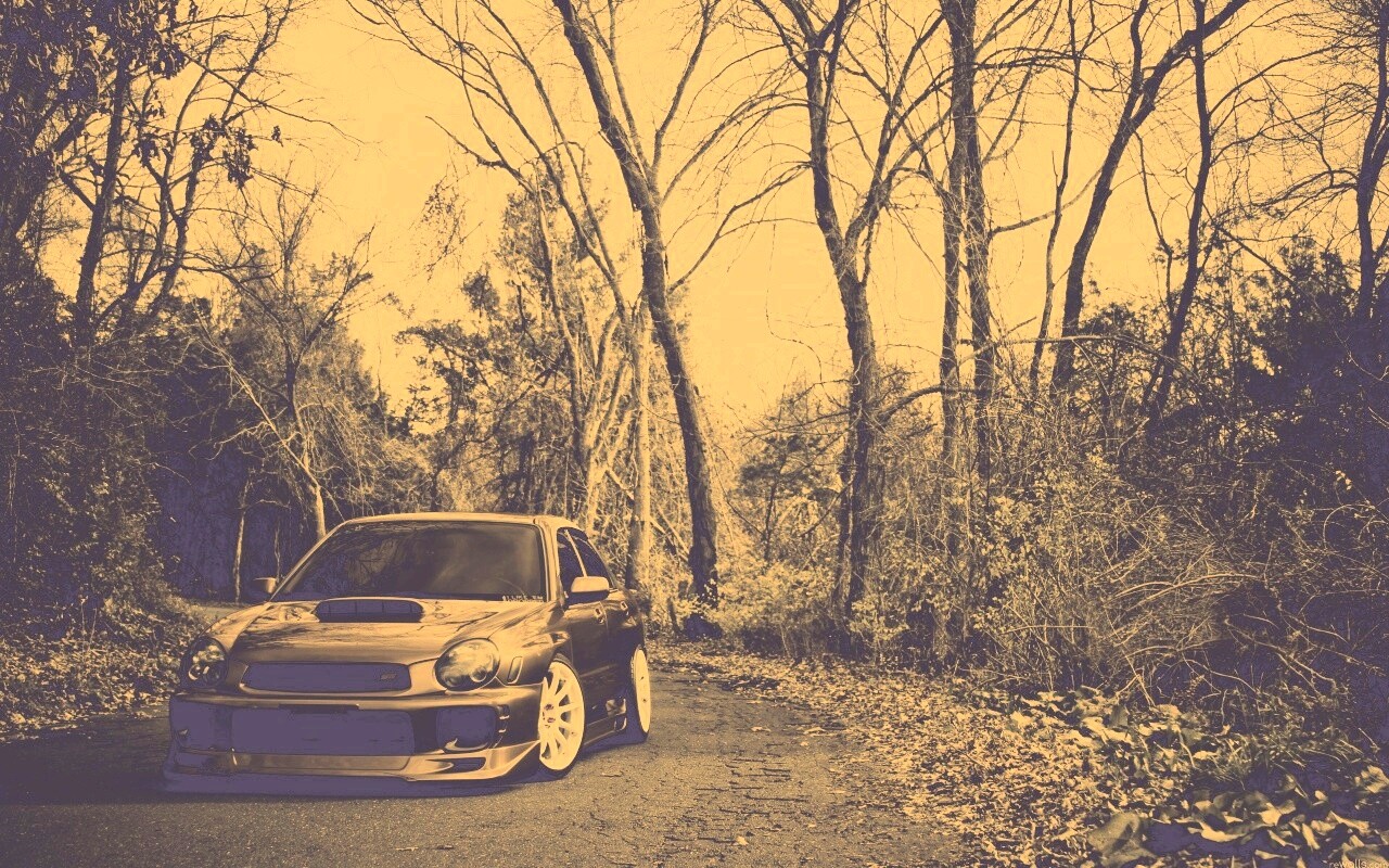 Субару Импреза на лесной дороге обои