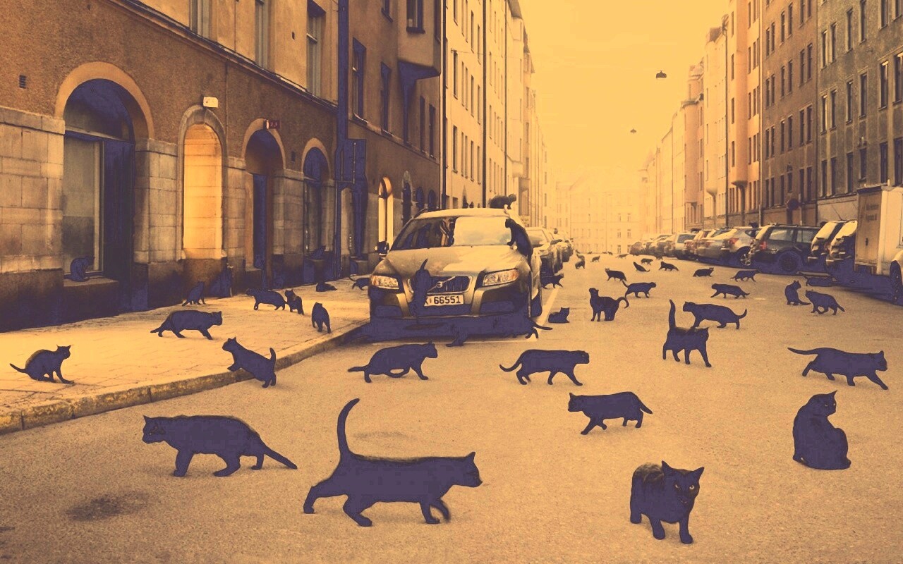 Город кошек обои