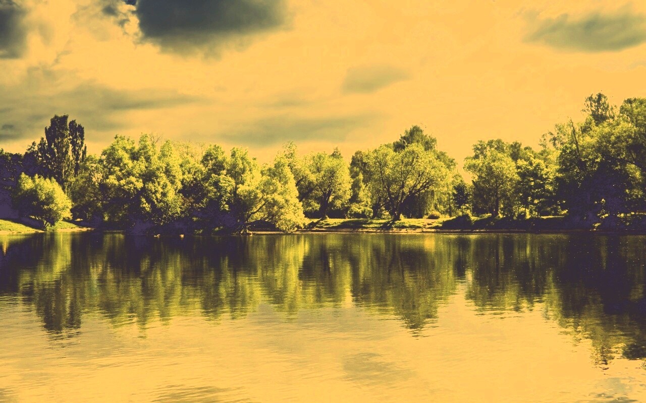 Деревья на берегу озера обои