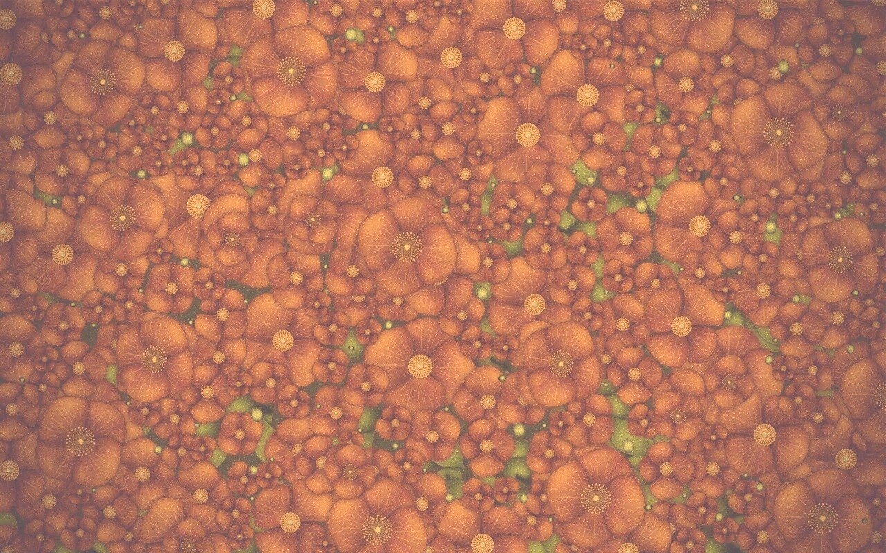 Рисунко с красными цветами обои