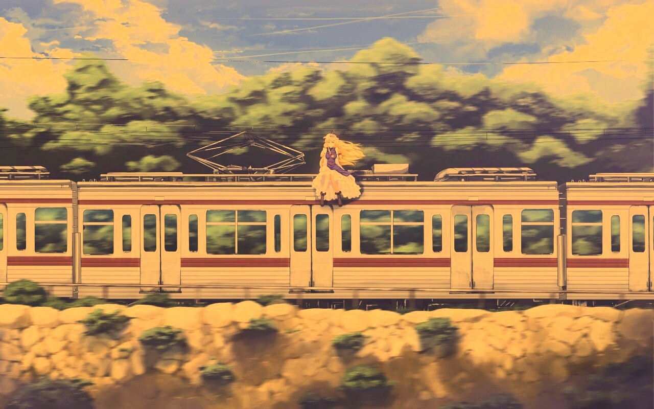 Девушка на крыше поезда обои