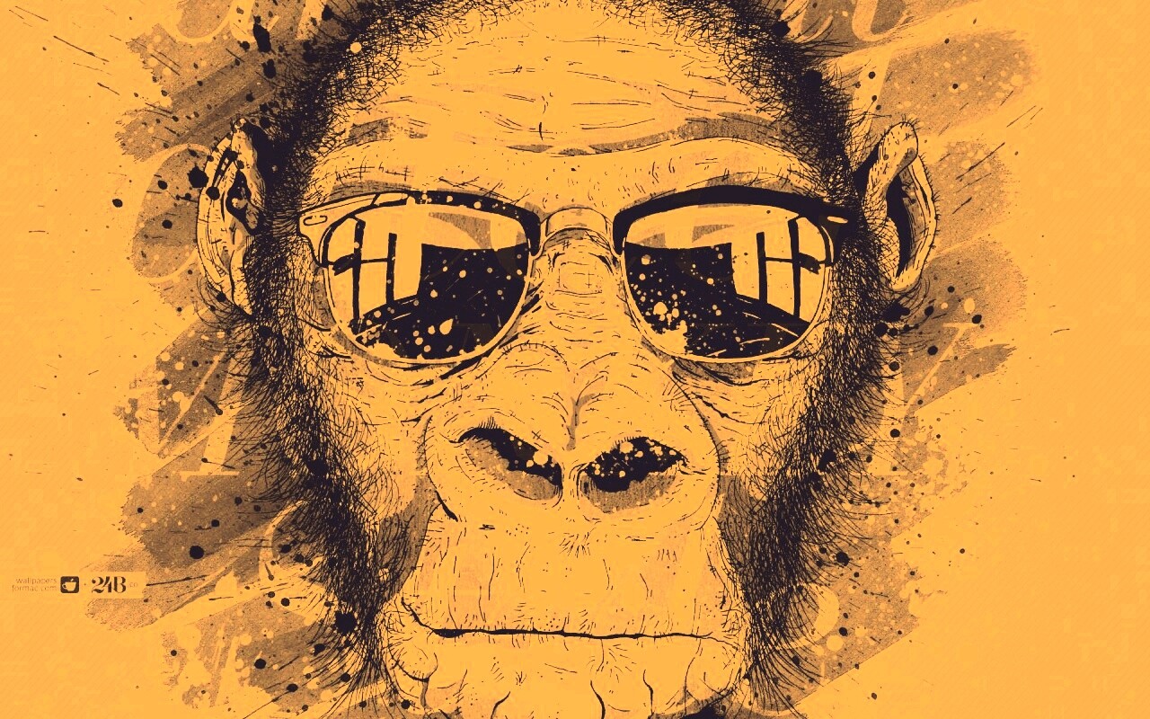 Макака в очках обои