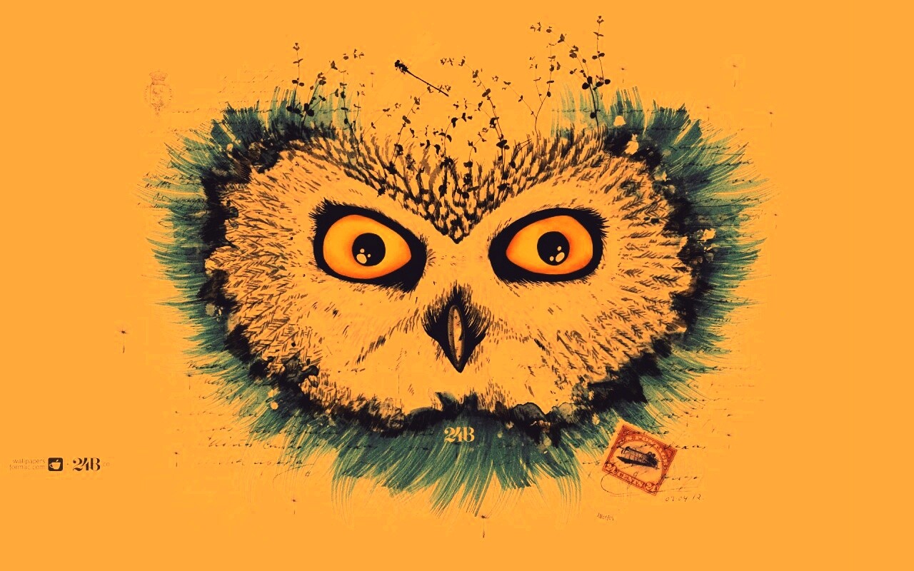 Обои сова для mac book обои